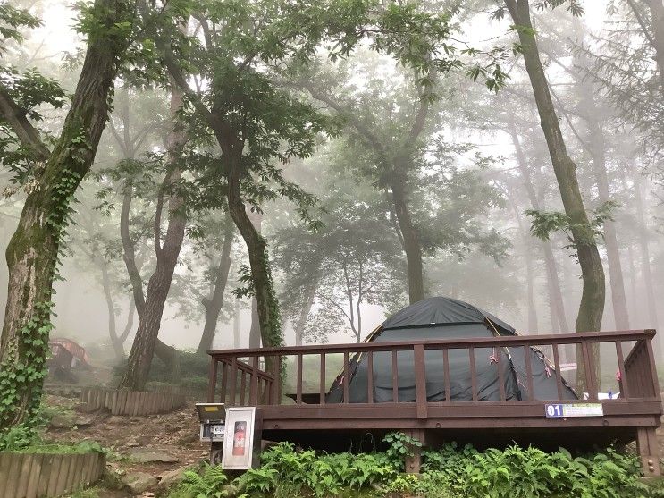 [용인 자연휴양림] 자연휴양림 후기 및 예약 방법