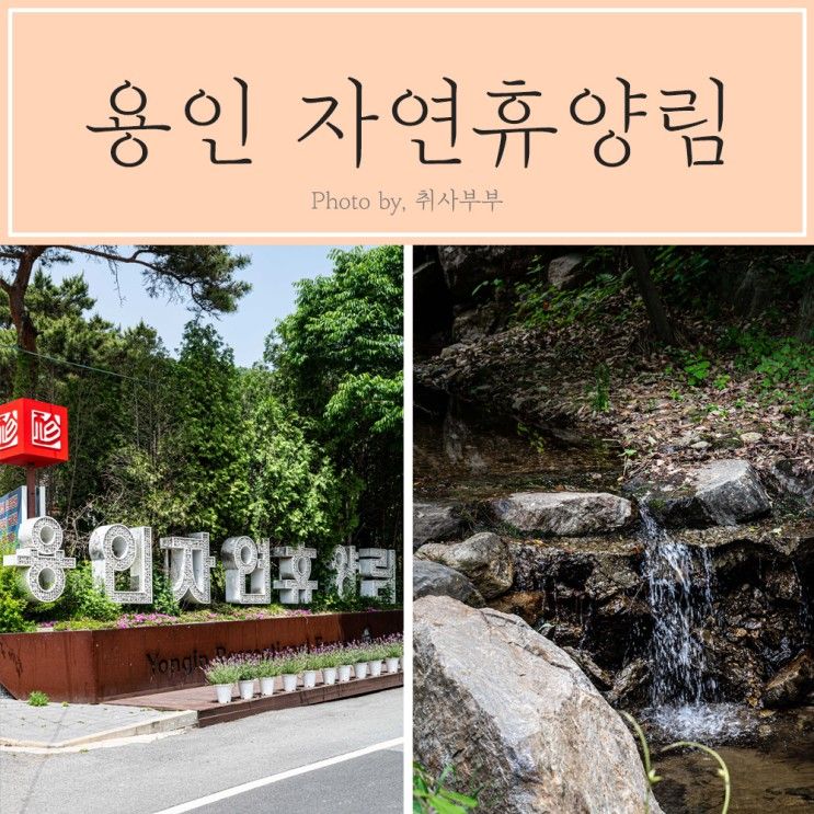 용인자연휴양림 예약부터 피크닉 볼거리.즐길거리 한번에정리!... 