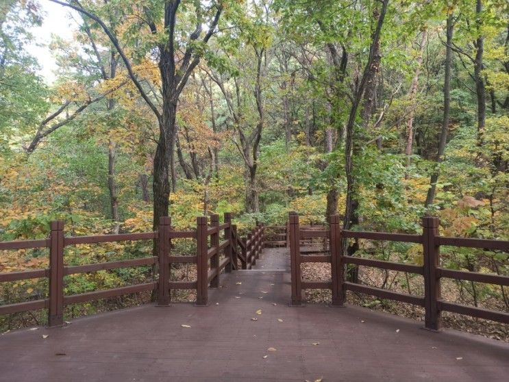 [국내여행] 용인자연휴양림 / 가을여행 / 산행 /당일여행