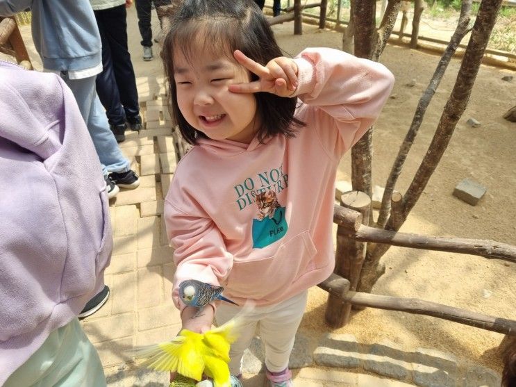 <경주아이와가볼만한곳>경주버드파크 할인정보 및 내부둘러보기