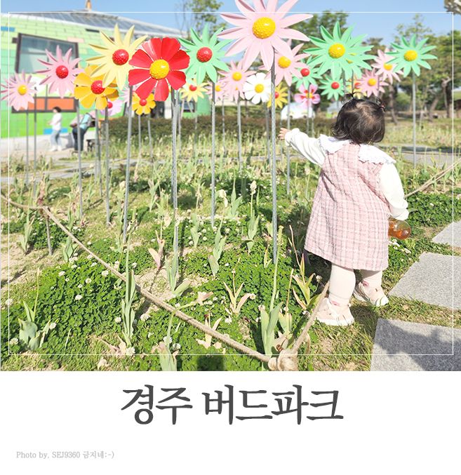 경주 아이와 가볼만한곳 경주 버드파크 입장료 할인 주차