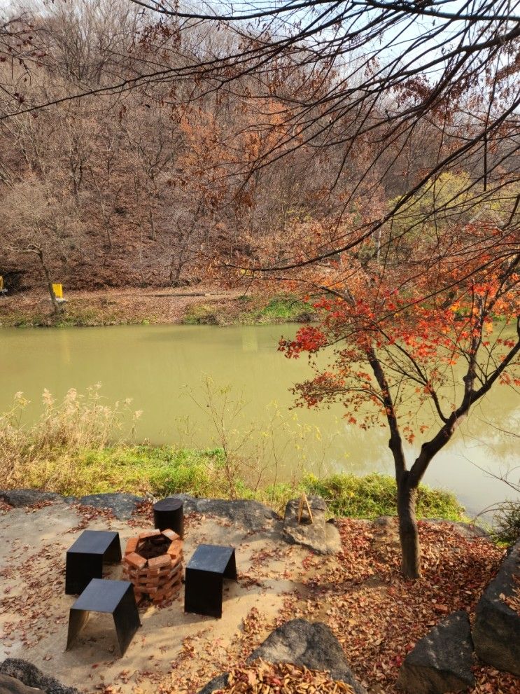 천안 교토리) 일본감성카페 가을감성카페 데이트하기 좋은카페... 