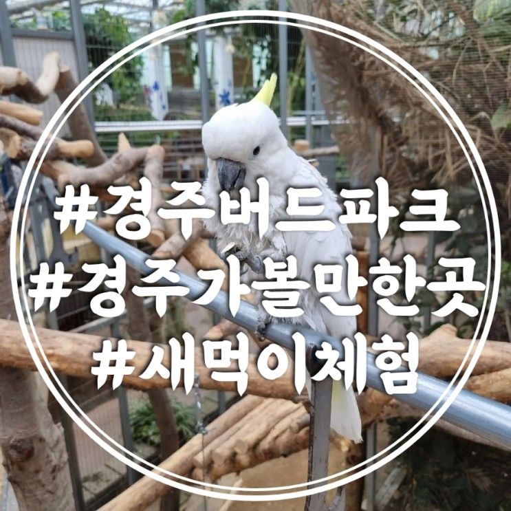 경주 아이와 가볼만한 곳 -경주버드파크