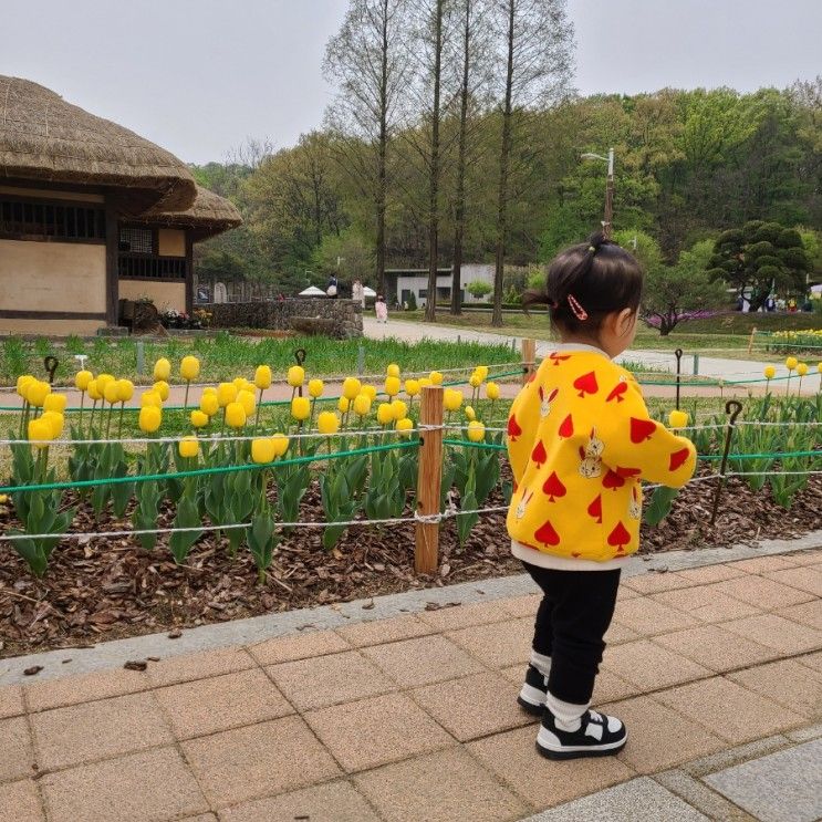아기랑 서울 근교 야외나들이 추천, 부천 자연 생태 공원