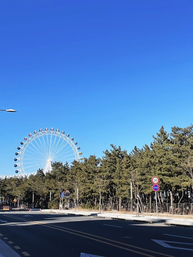 [속초여행/카페] 보사노바 커피로스터스 속초점