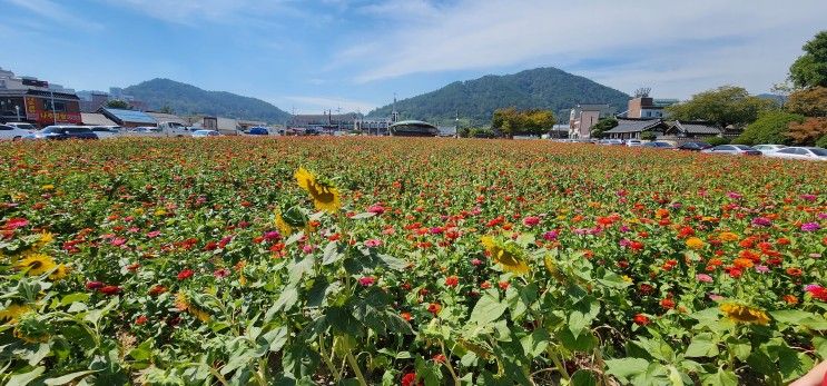 [나주 여행] 나주목문화관, 금성관, 나주곰탕원조집...