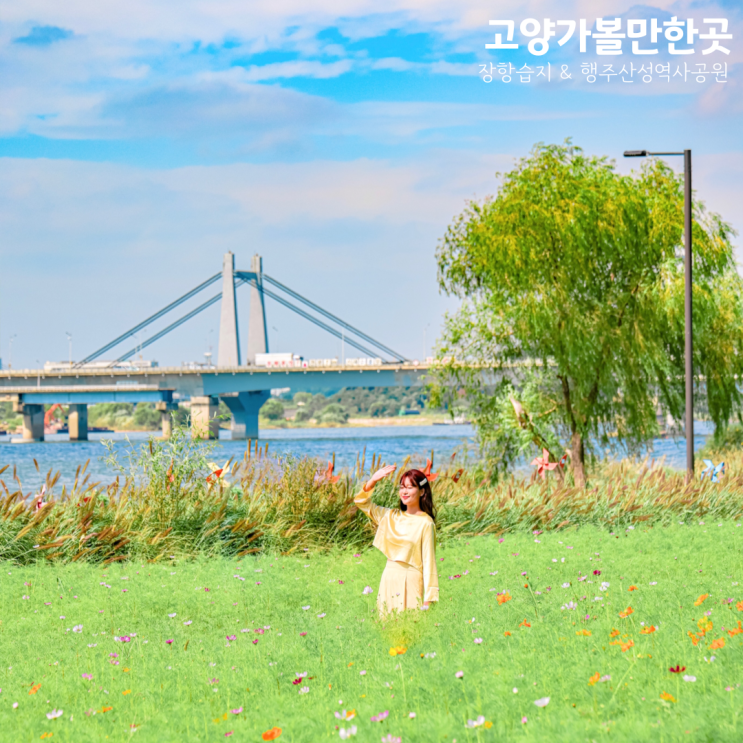 경기도 고양시 가볼만한곳 장항습지 & 행주산성 역사공원