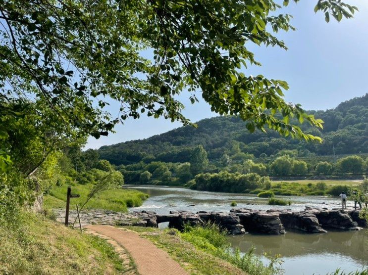 [진천/쥐꼬리명당,농다리,이월서가] 서울 근교 당일치기 진천 나들이 ..