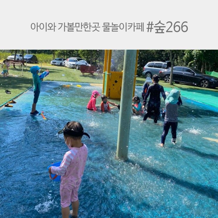 물놀이카페, 물놀이와 바베큐까지 가능한 숲266카페