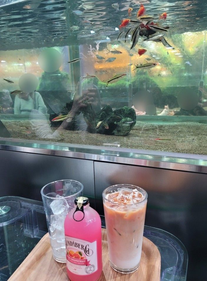 해수어를 볼 수 있는 이색 카페 | 아쿠아가든카페 롯데월드몰점