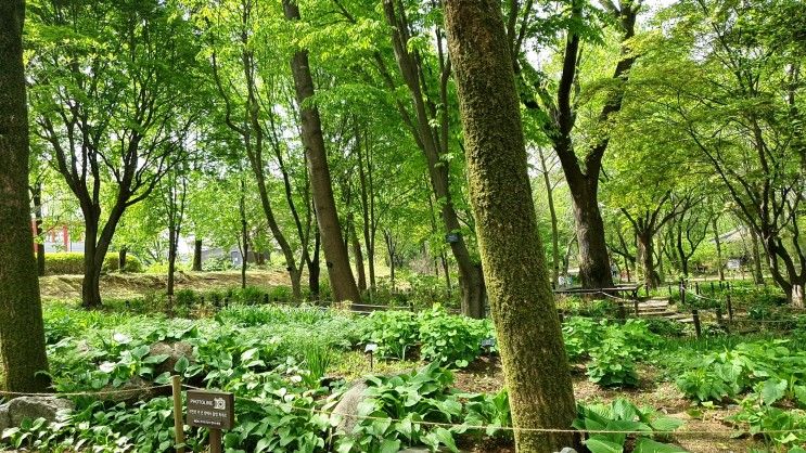 한국 도로공사 전주 수목원에 다녀왔다.