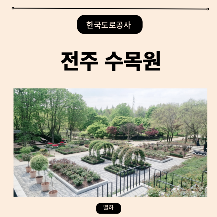 익산 근교 튤립 명소 한국도로공사 전주 수목원 5월 장미꽃이... 