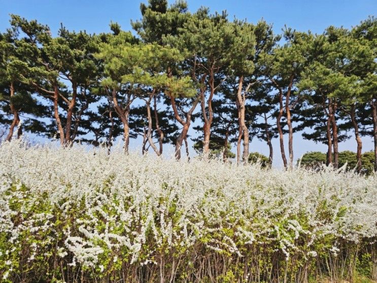 한국도로공사 전주수목원