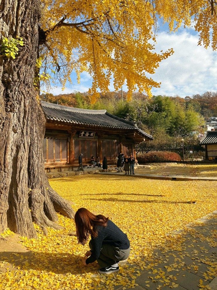 1박2일 전주여행, 전주향교 수목원 전일갑오 남부시장야시장... 