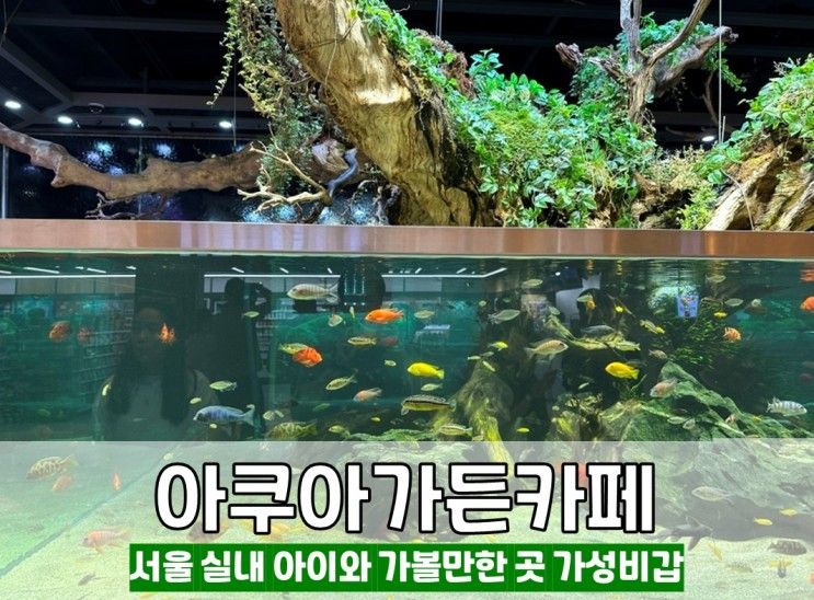 [잠실 카페] 아쿠아가든 카페 롯데월드몰점 - 서울 실내 아이와...