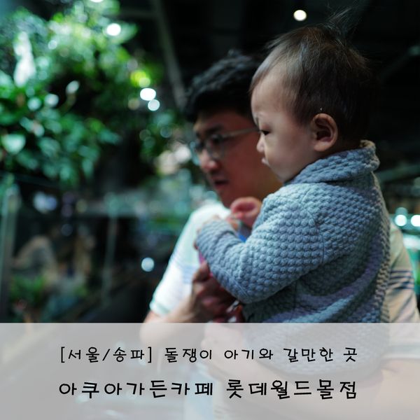 [서울/송파] 돌쟁이 아기와 갈만한 아쿠아가든카페 롯데월드몰점