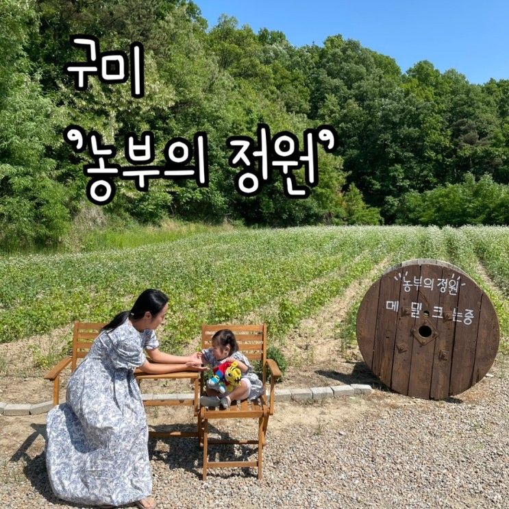 구미 : 팜크닉 '농부의 정원' / 5월 메밀꽃