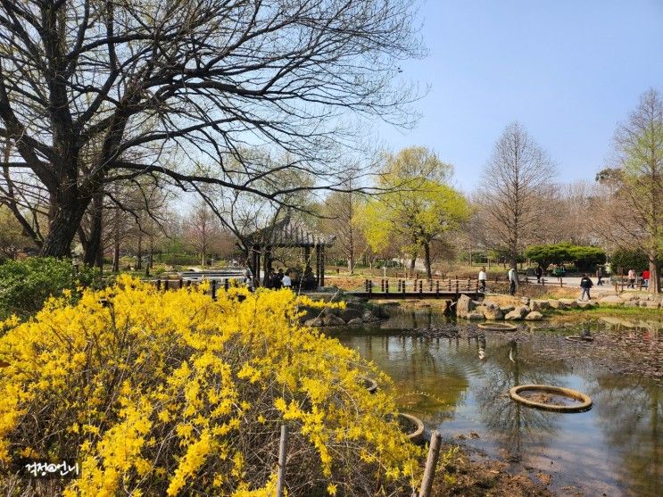 전주 봄꽃 식물원 여행, 산책하기 좋은 한국도로공사 전주수목원