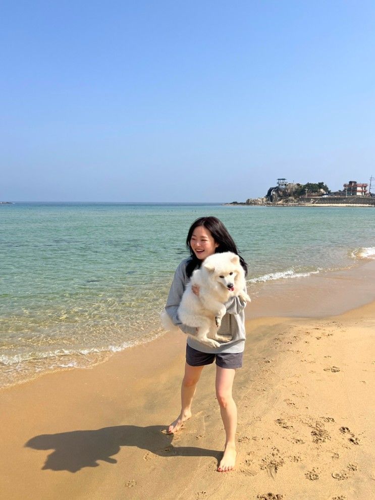 주문진 갈만한곳 소돌항 아들바위공원 소돌해변