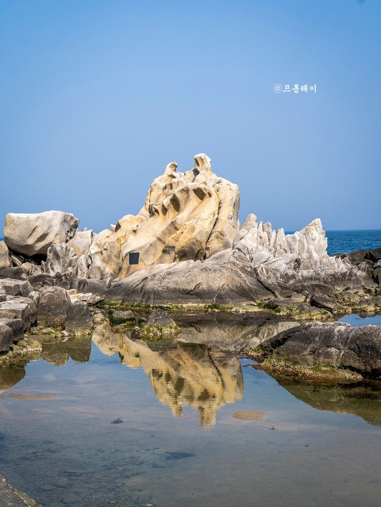 강릉 여행 주문진 수산시장 소돌해변 볼거리 먹거리