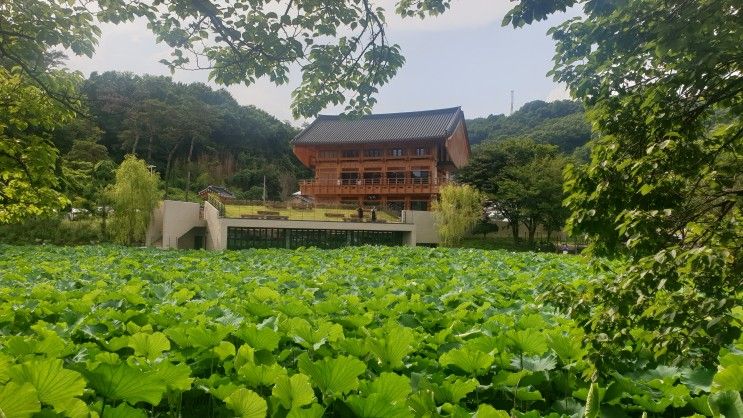 꼭 가보세요!   청주 주봉저수지/ 인문 아카이브 양림