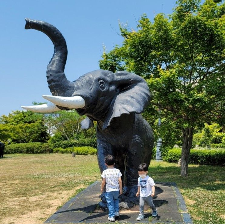 목포 가볼만한곳 목포자연사박물관 입암산생태공원 목재놀이터... 