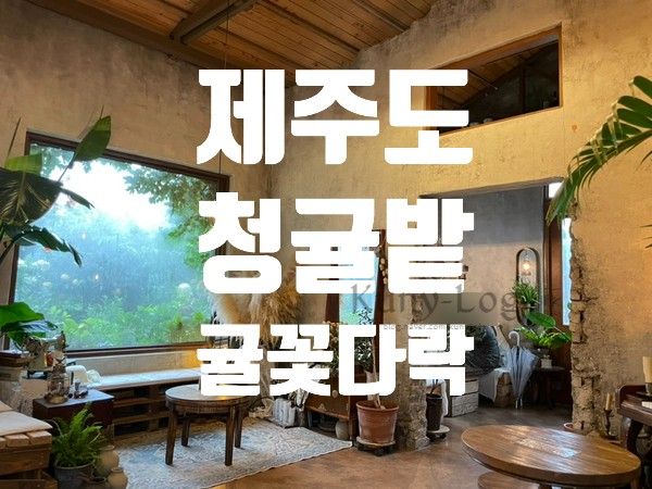 귤꽃다락 제주 서귀포 귤밭 카페