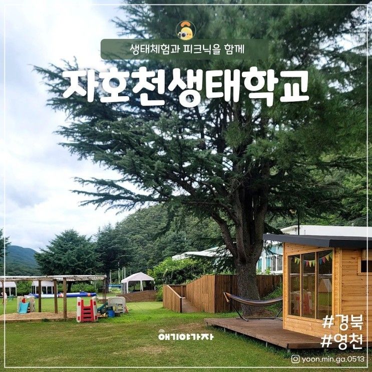 경북 영천 아이와캠핑 자호천생태학교 생태체험 피크닉 물놀이 놀이터
