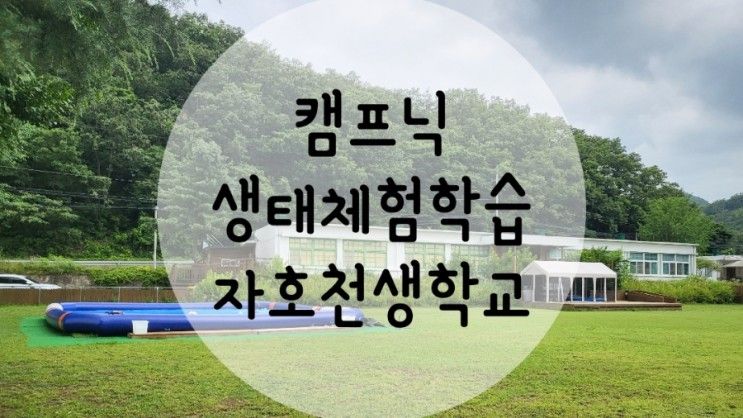 자연과 함께 아이들과 캠프닉하기 좋은곳(feat.영천 자호천생태학교)