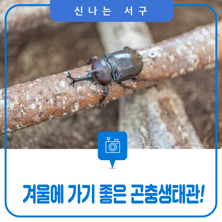 대전, 추운 겨울에 가기 좋은 곤충생태관