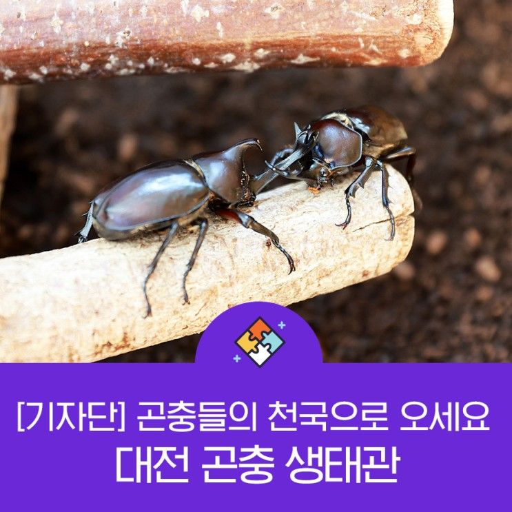 곤충 천국~ 대전 곤충 생태관