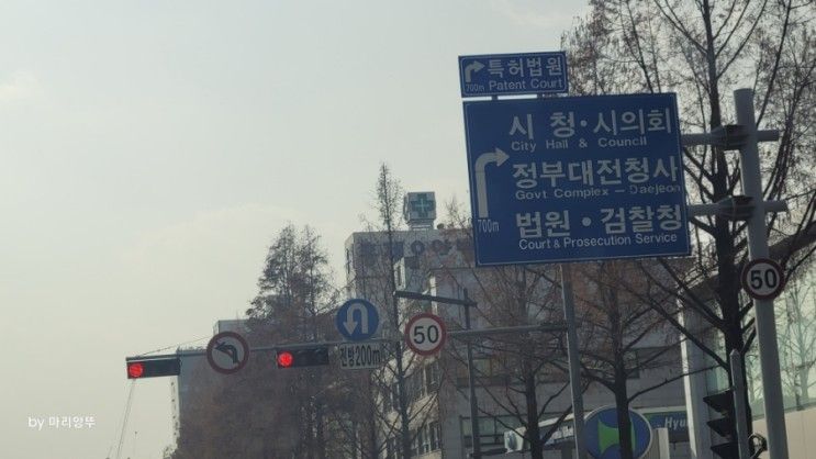 대전 엑스포 공원에서 스케이트 타기 Feat. 곤충생태관