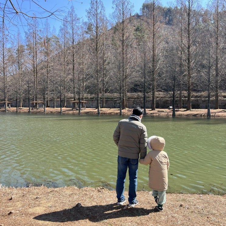 담양여행_ 담양카페기역니은디귿 / 호텔드몽드/승일식당...