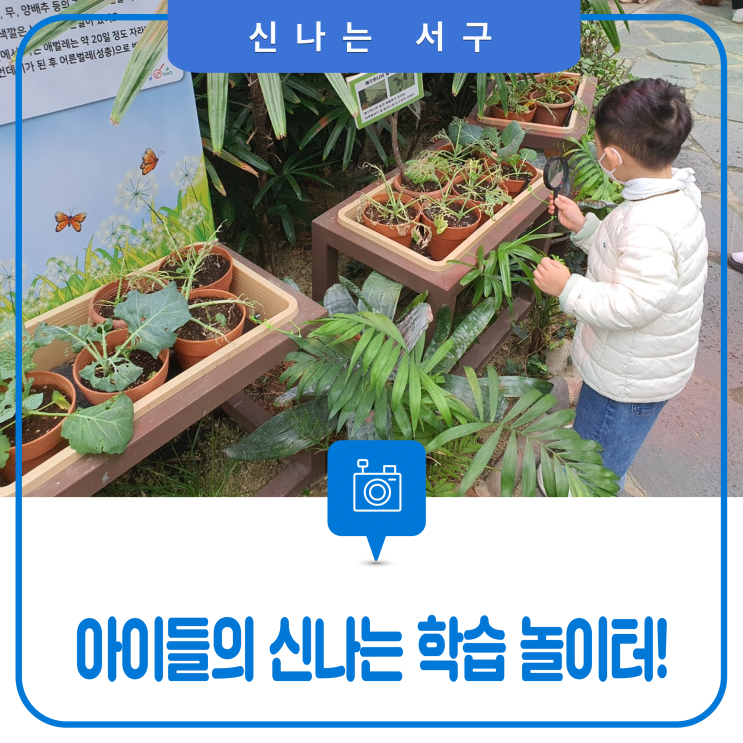 대전 아이들의 실내 학습 놀이터, '곤충생태관'