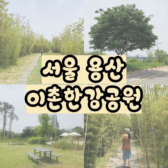 [서울 피크닉 장소] 이촌한강공원 :: 주차장, 대나무숲... 