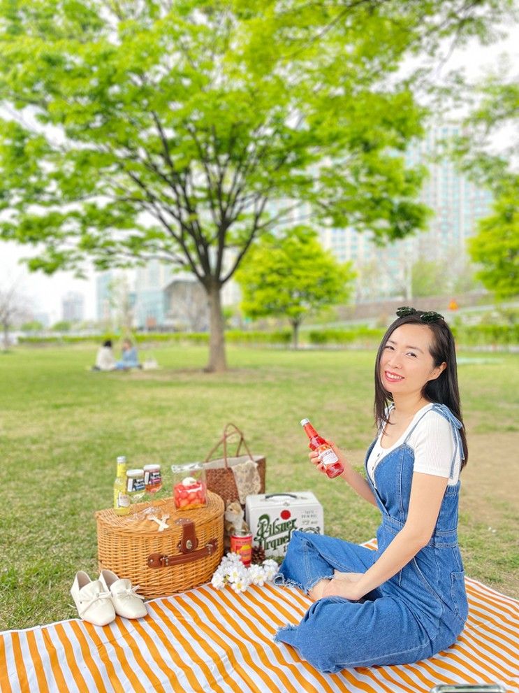 이촌 한강공원 돗자리 피고 피크닉! 서울 데이트 추천(주차장 팁)