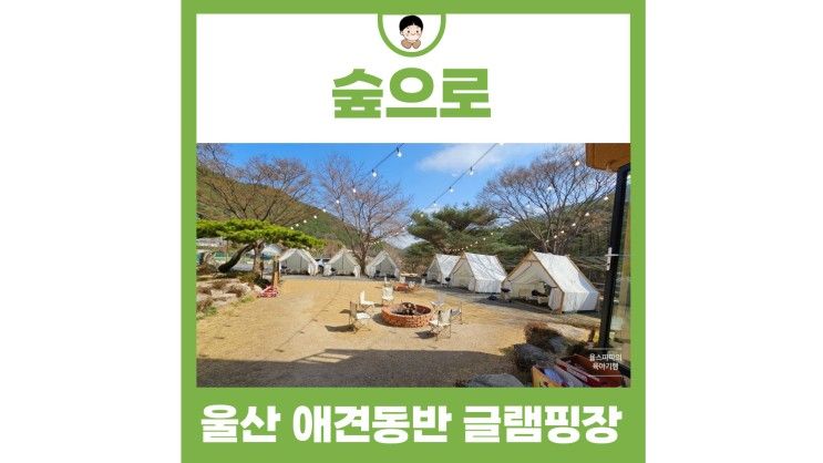 언양 작천정 신불산군립공원 야영장 울산 애견동반 글램핑 숲으로