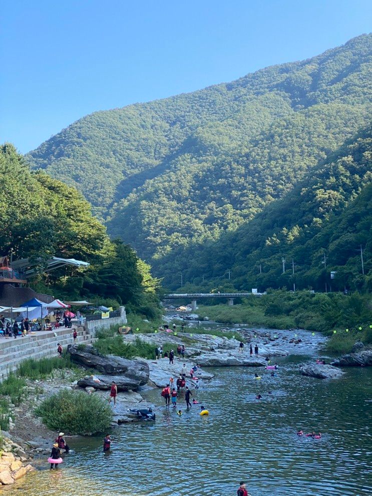 애견동반 물놀이 & 취사가능 계곡 :: 항아리바위계곡