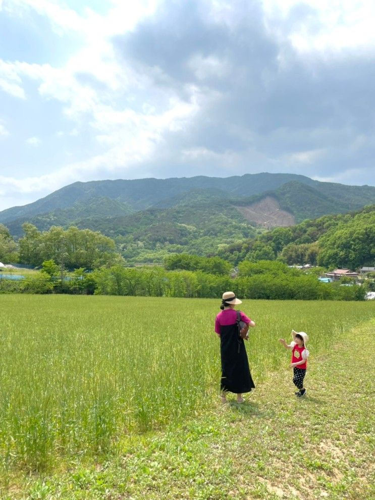 Ep. 30 대구 근교 가볼만한 곳 촌캉스 성주 하늘목장 FARM 0311