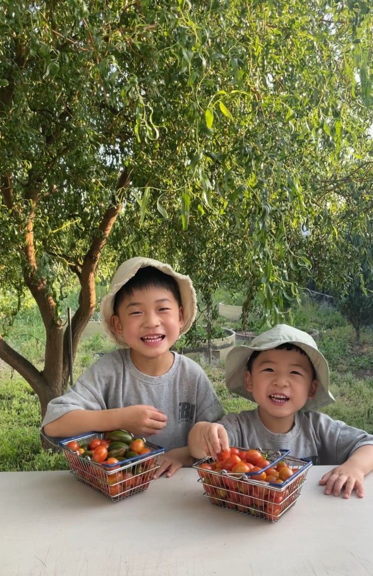 밀양 농촌체험 아이와 팜스테이 직접 수확체험 할 수 있는 '농부아빠팜'