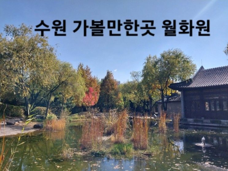 수원 가볼만한곳  단풍구경 효원공원 월화원 데이트