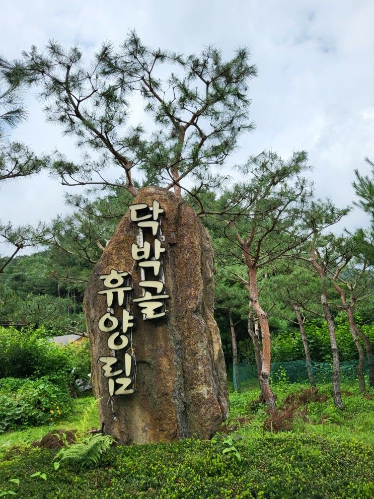 일곱번째 캠핑) 닥박골휴양림캠핑장_즉흥캠, 우중캠...