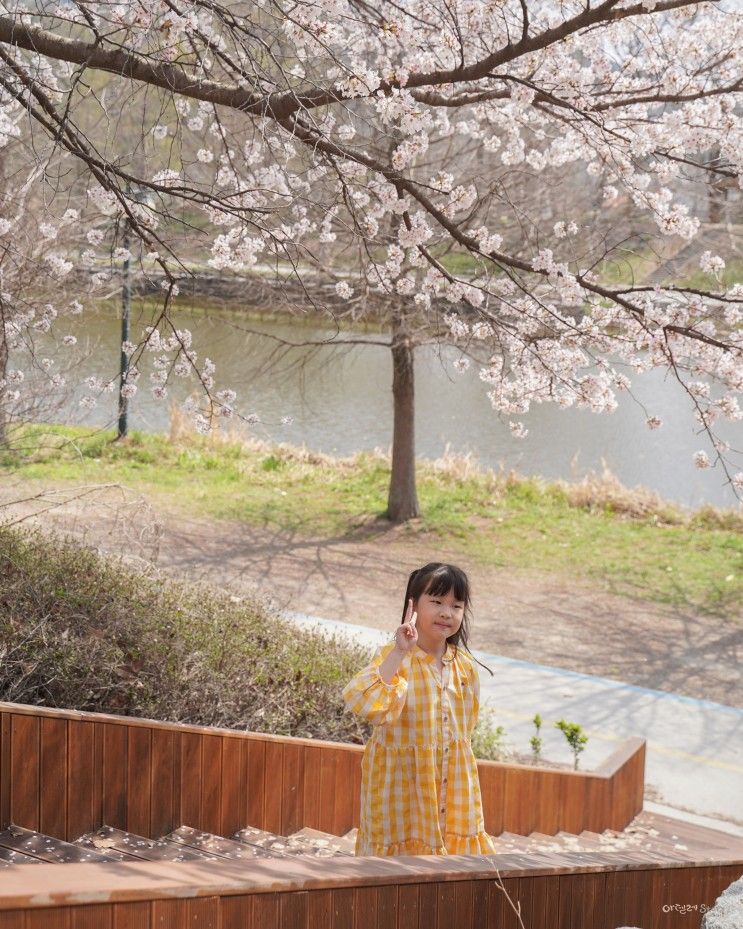 담양 관방제림 벚꽃 구경하고 오리배 타고 아이와 여행