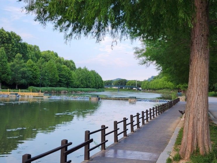 "담양 관방제림" 걷고 생태농업체험관 돌아보기