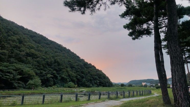 근교 피크닉 스팟! 용인시 처인구 길업습지 (와우정사 가는길)