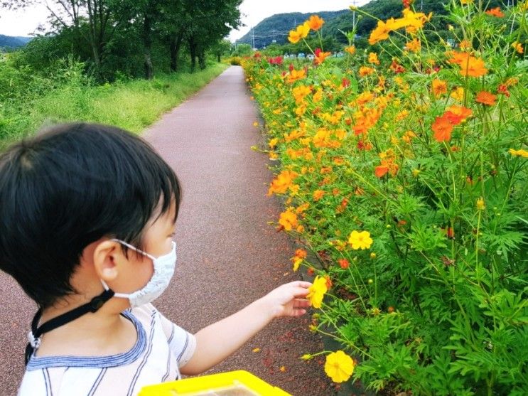 용인 아이와 산책 하기 좋은곳 ㅡ침강저류지 습지생태공원