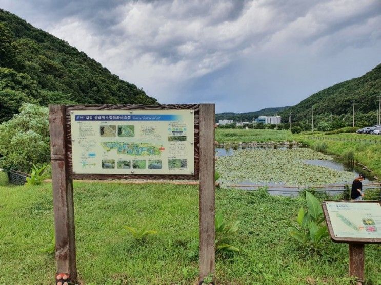 [용인 침감저류지] 조용한 가족 산책로/차크닉