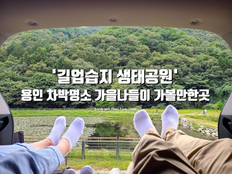 용인 가볼만한곳 차박 명소 '길업습지 생태공원'