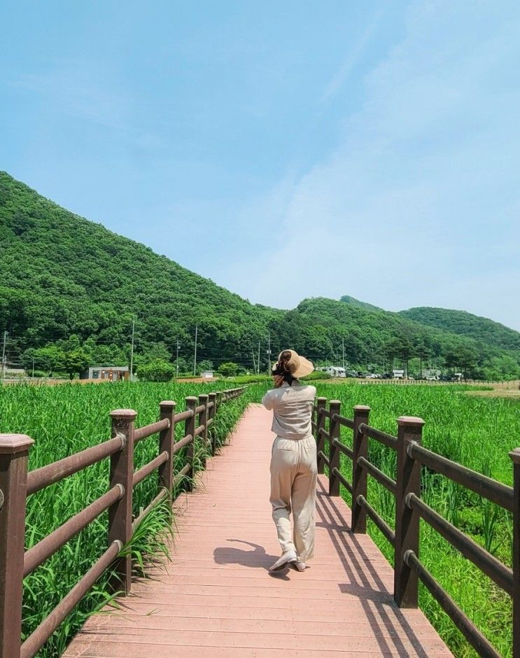 서울 근교 아이들과 가기 좋은 용인 차크닉 장소 : 길업습지