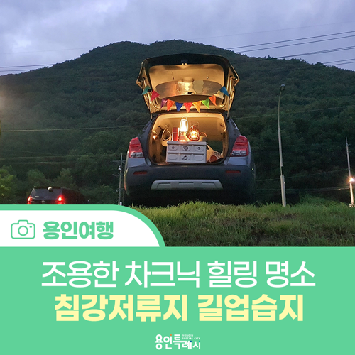 [용인 여행] 조용한 차크닉 힐링 명소, 침강저류지 길업습지에서... 